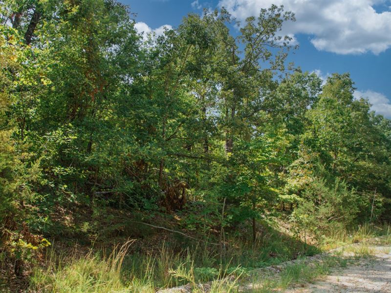 2 Adjacent Lots Greatly Reduced : Horseshoe Bend : Izard County : Arkansas