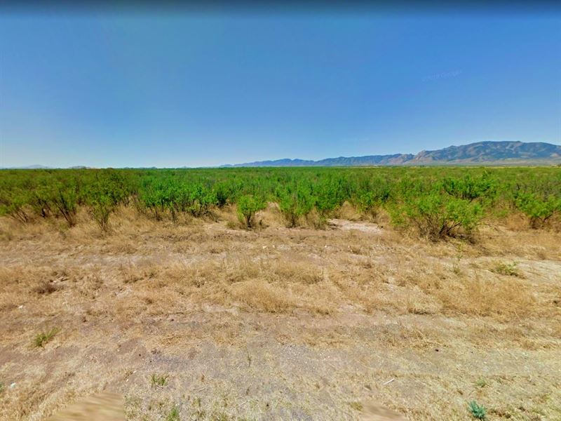 .85 Acre in Cochise County, $200/Mo : Cochise : Cochise County : Arizona