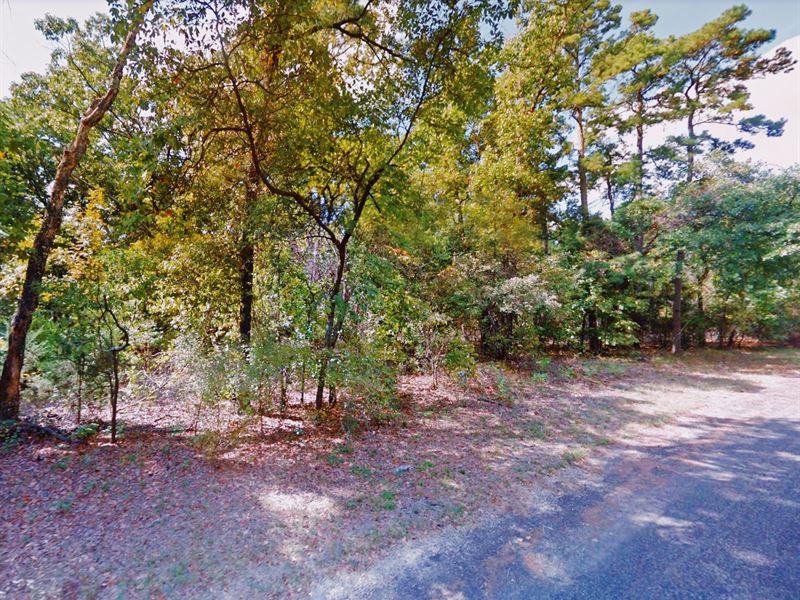 .24 Acre in Scroggins, $200/Month : Scroggins : Franklin County : Texas