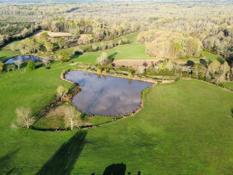 Five Hole Farm 258 Acres in Holmes : Goodman : Holmes County : Mississippi