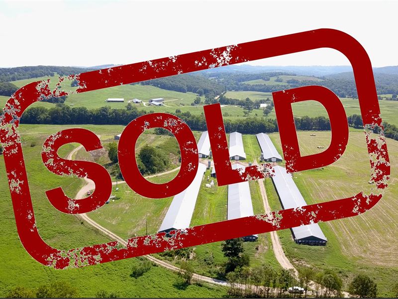 Six House Poultry Farm : Hindsville : Madison County : Arkansas