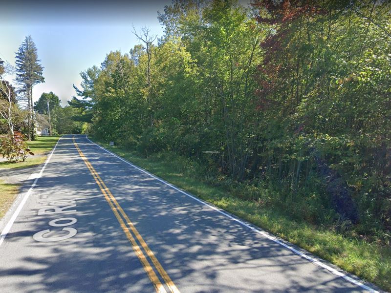 Spacious Lot Near Lake Nassau : Nassau : Rensselaer County : New York