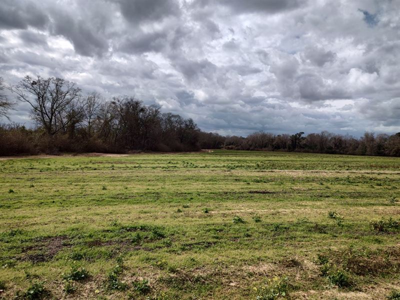 Ashford 48 Acres : Ashford : Houston County : Alabama