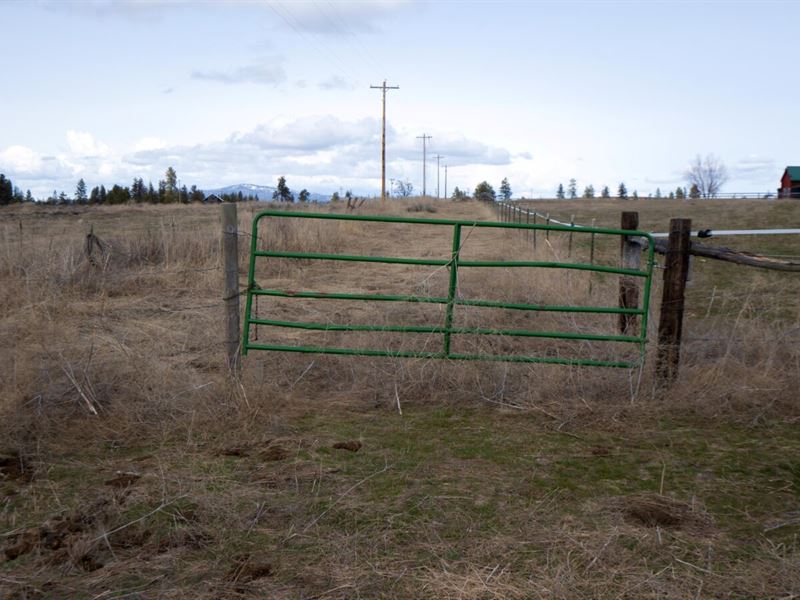 40 Acres 13 Min to Columbia River : Creston : Lincoln County : Washington