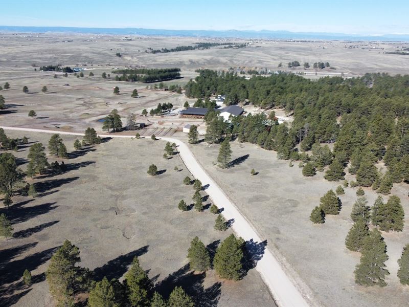 Elizabeth Pines 57 : Elizabeth : Elbert County : Colorado