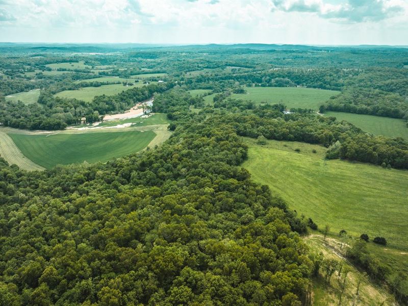 Beaver Creek 40 : Ava : Douglas County : Missouri
