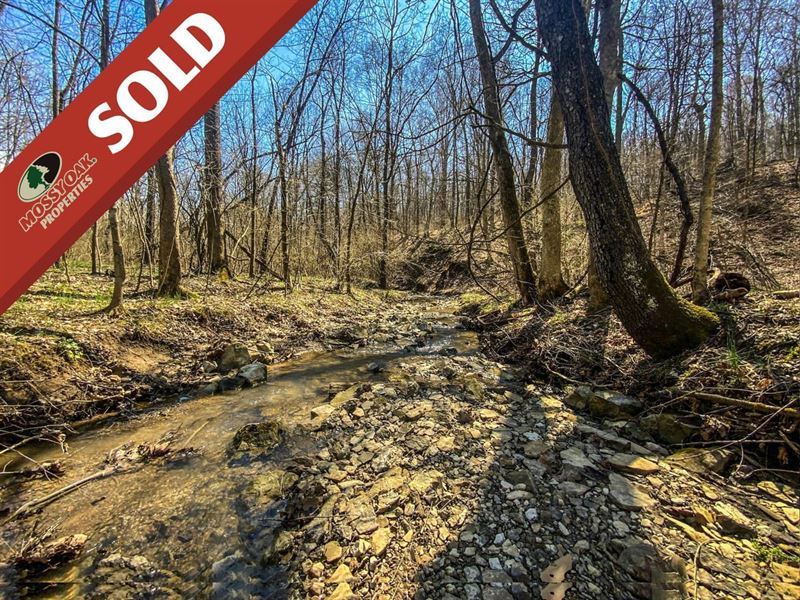 McConnellsville Rd, 30 Acres, Nob : Caldwell : Noble County : Ohio