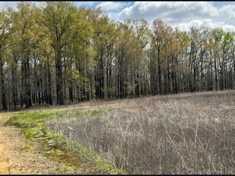 4 Lots in Yazoo County in Yazoo Cit : Yazoo City : Yazoo County : Mississippi