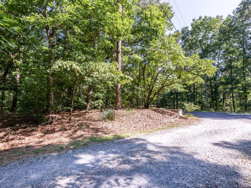 Corner Lot with Lake Access : Ellijay : Gilmer County : Georgia