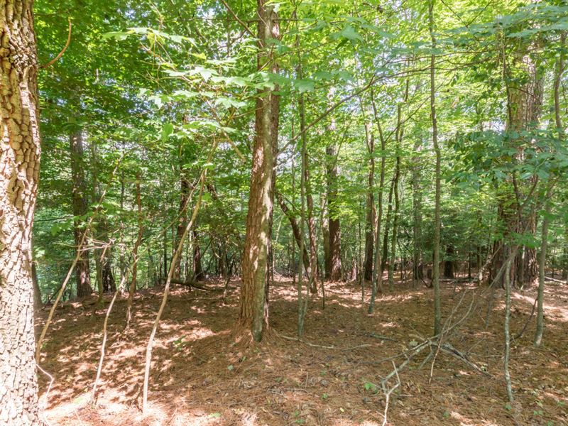 Level Lot with Amenities Galore : East Ellijay : Gilmer County : Georgia