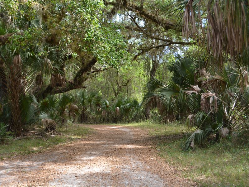 146 Acre Peace River Preserve 2 : Arcadia : DeSoto County : Florida