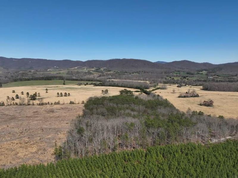 7.75 Ac for Sale, Nelson County, VA : Roseland : Nelson County : Virginia