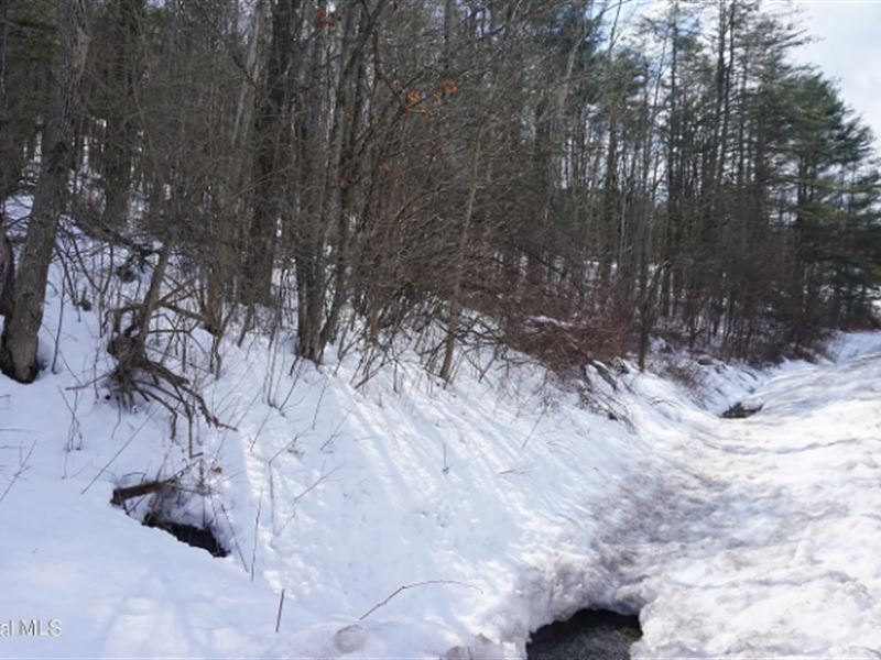 14.5 Ac Lot in Schoharie County, NY : Middleburgh : Schoharie County : New York