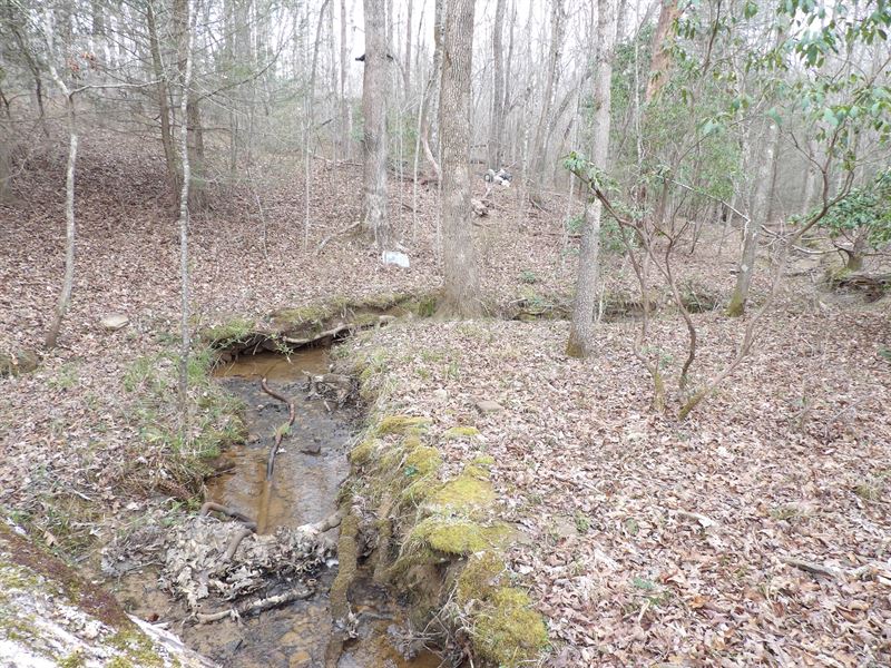 Creek, Hardwoods, Private : Pikeville : Van Buren County : Tennessee