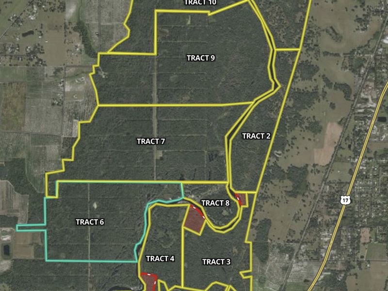 262 Acre Peace River Preserve 6 : Arcadia : DeSoto County : Florida