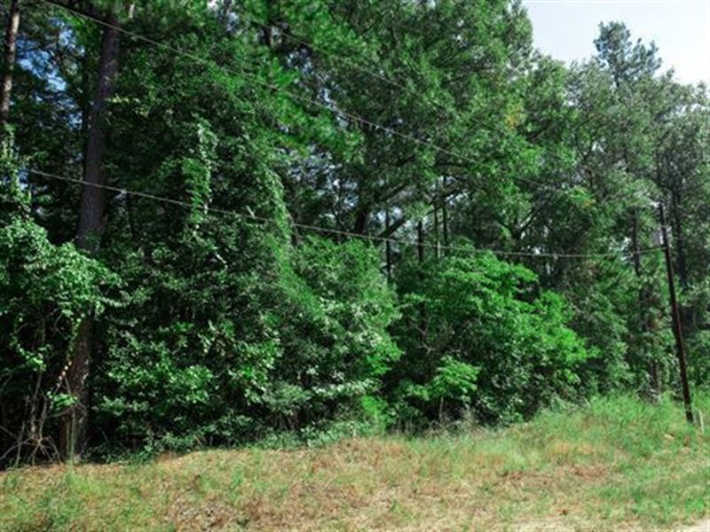 $101/Mo, The Perfect Base : Harleton : Harrison County : Texas