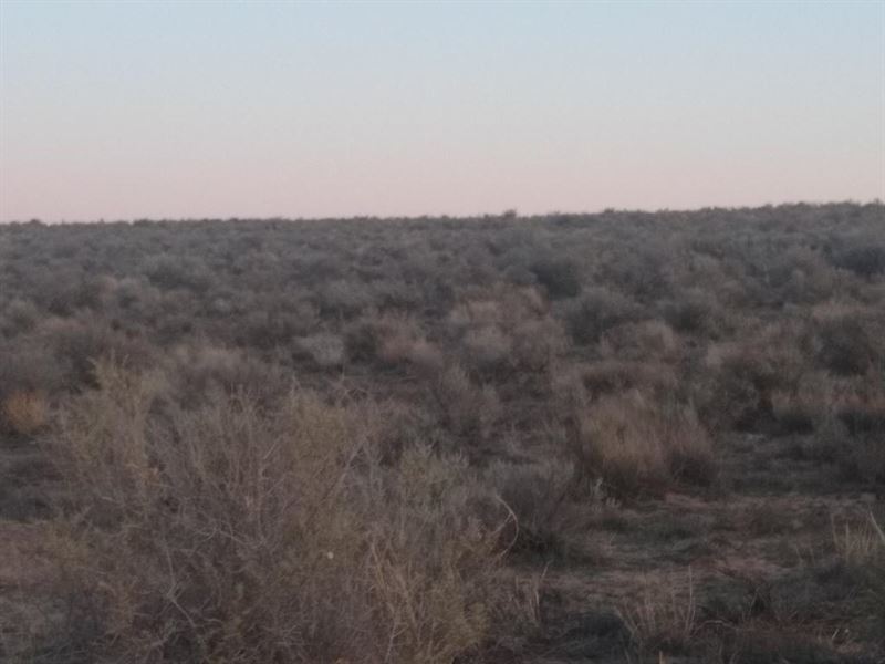 Halt Your Inflation Land Deal in NM : Valencia : Valencia County : New Mexico