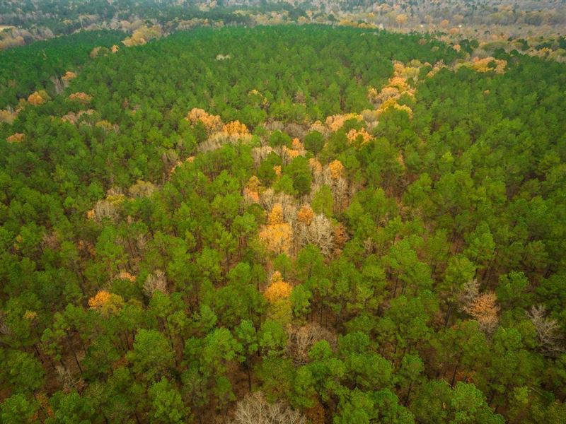 Shivers 85 : Marshall : Harrison County : Texas
