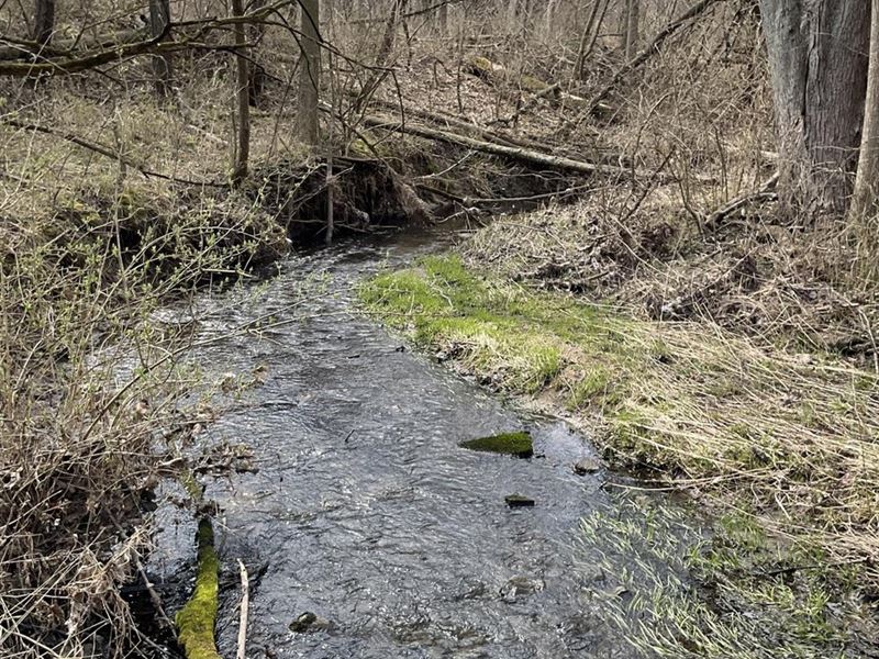 Country Building Site : Ridge Farm : Vermilion County : Illinois