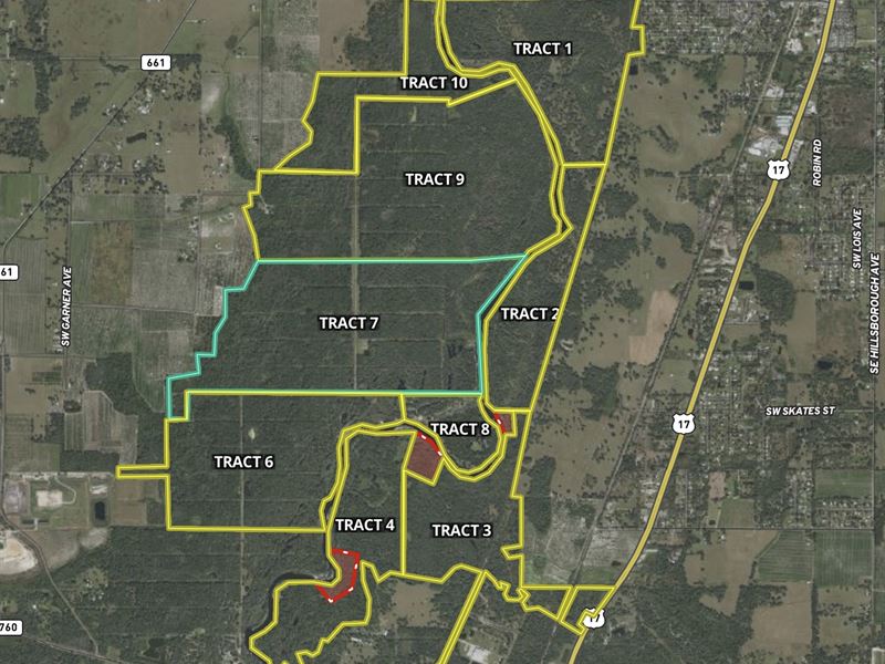 403 Acre Peace River Preserve 7 : Arcadia : DeSoto County : Florida