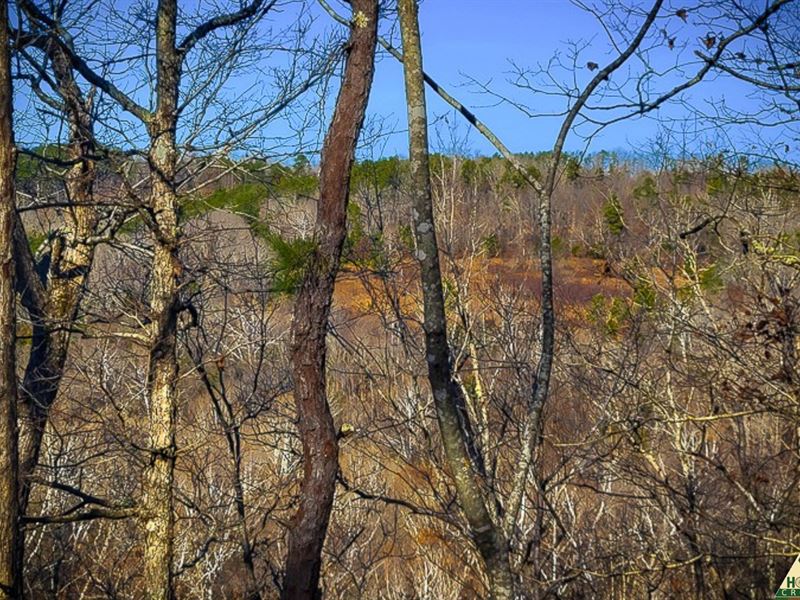 Dream Property on The River : Houston : Texas County : Missouri