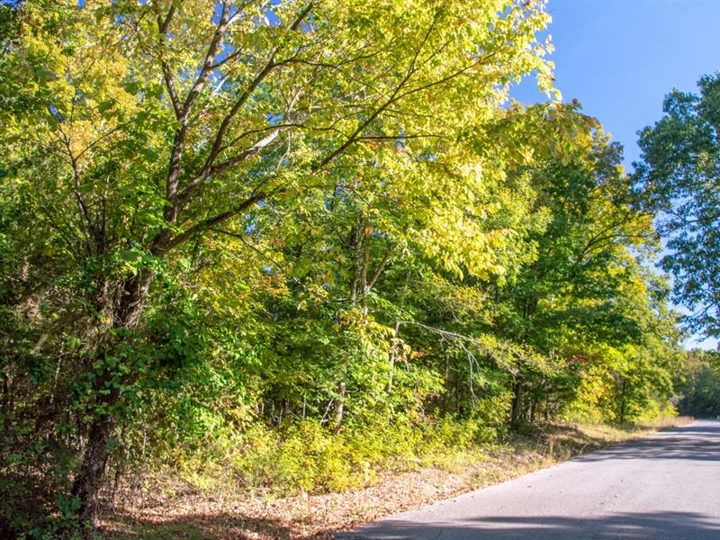 Prime Building Lot Near 3 Lakes : Horseshoe Bend : Izard County : Arkansas