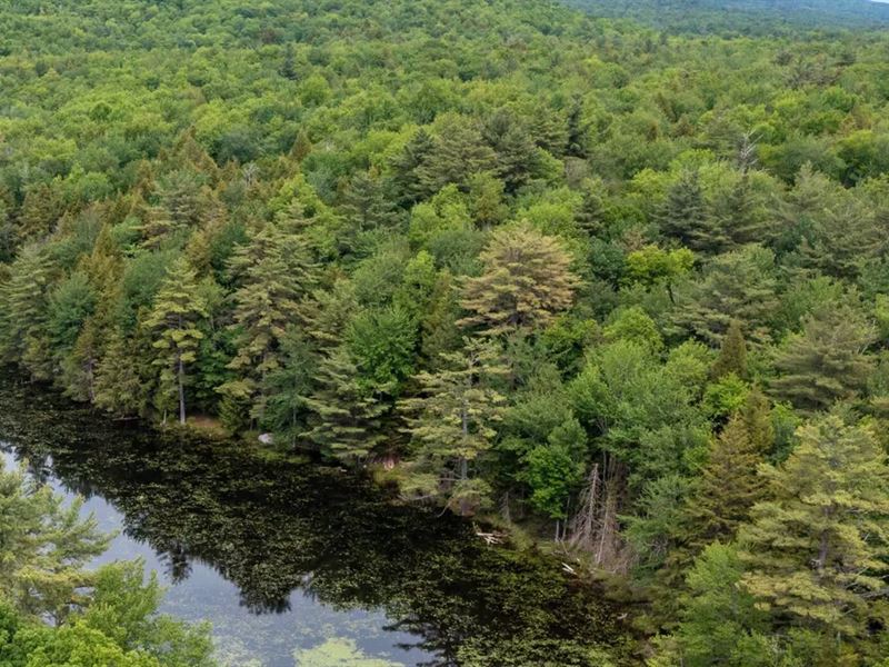 1742K Sqft in Johnstown, NY : Johnstown : Fulton County : New York