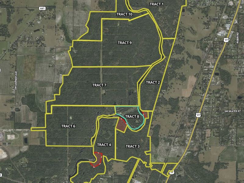 58 Acre Peace River Preserve 8 : Arcadia : DeSoto County : Florida