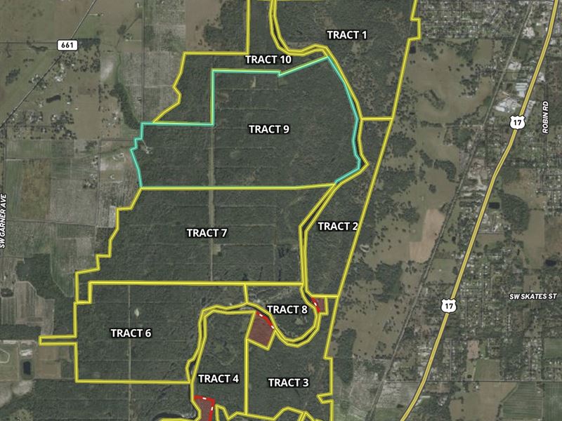 448 Acre Peace River Preserve 9 : Arcadia : DeSoto County : Florida
