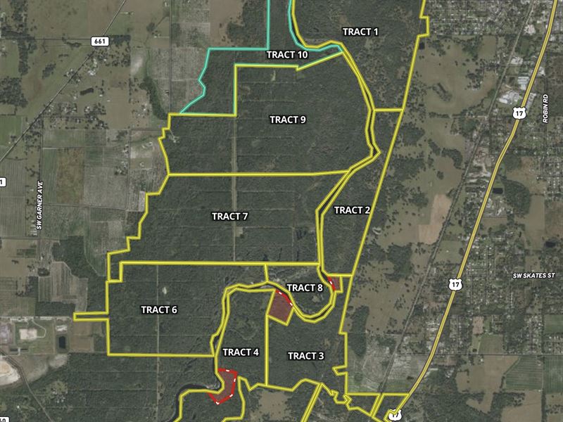 125 Acre Peace River Preserve 10 : Arcadia : DeSoto County : Florida