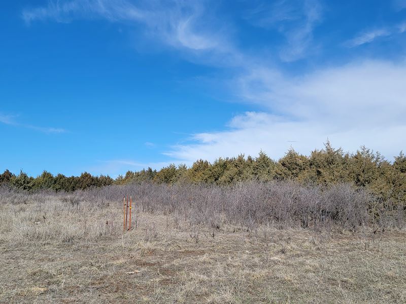 Holyoke Upland Hunting : Holyoke : Phillips County : Colorado