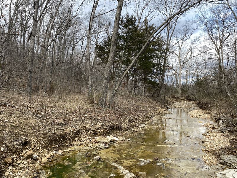 Jones Ridge : Dixon : Maries County : Missouri