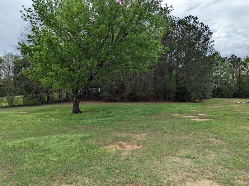 Prattville Commercial Lot South : Prattville : Autauga County : Alabama