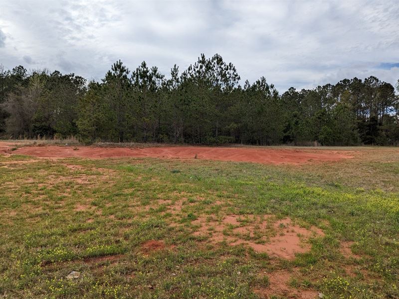 Prattville Commercial Lot North : Prattville : Autauga County : Alabama