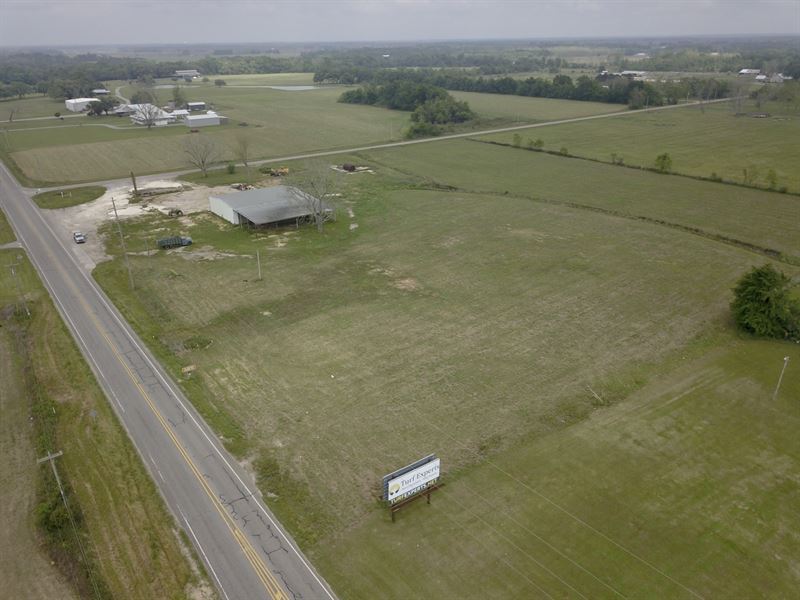 8.8 Ac Greeno Road Tract : Fairhope : Baldwin County : Alabama