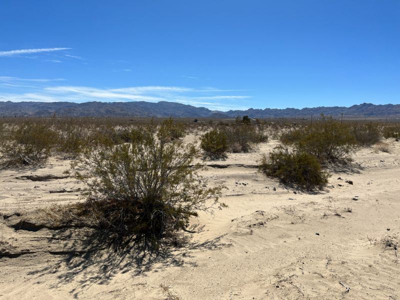 5 Acres in Twentynine Palms, Zoned : Twentynine Palms : San Bernardino County : California