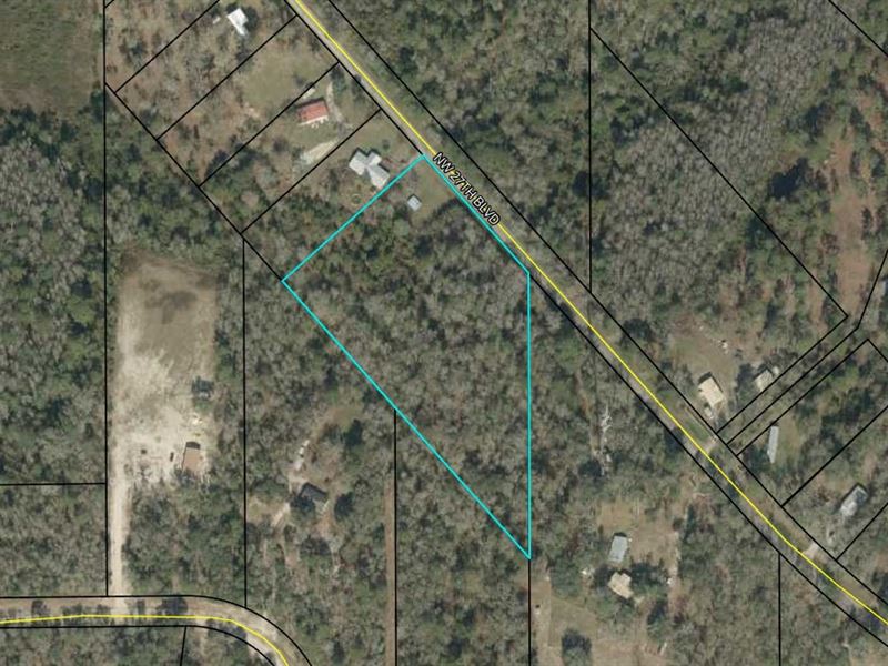 Undeveloped Land in North Florida : Jennings : Hamilton County : Florida