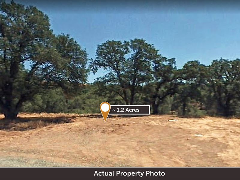 Cul-De-Sac Lot in Rancho Tehama : Corning : Tehama County : California