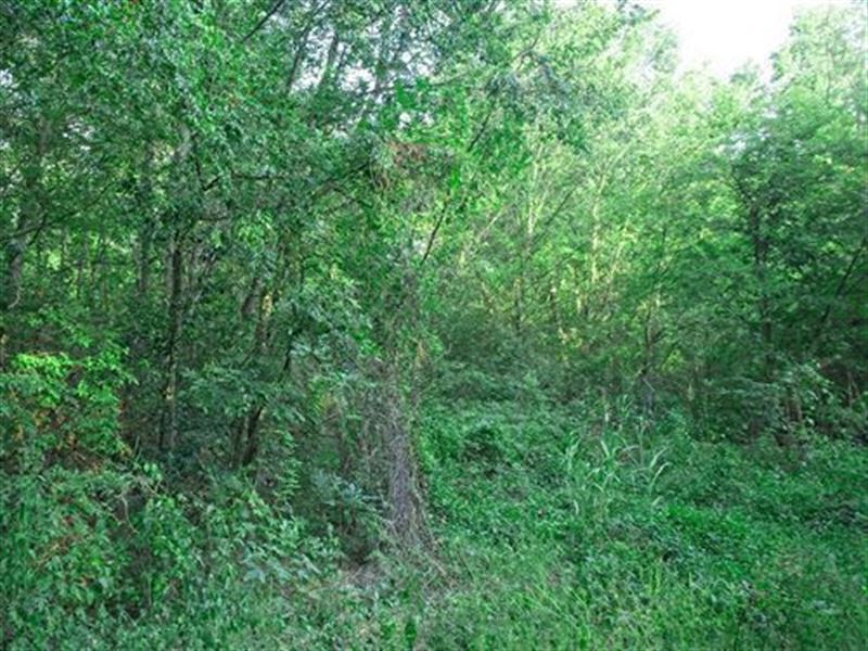 $88/Mo, Community Lake Access : Harleton : Harrison County : Texas