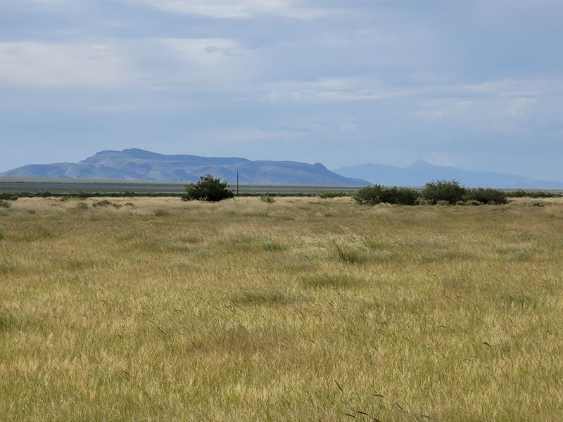 .5 Acre in New Mexico Only $50/Mo : Deming : Luna County : New Mexico