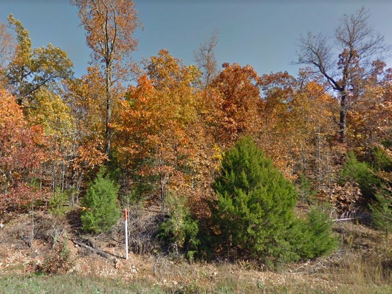 10 Min From Everything, $100/Mo : Horseshoe Bend : Izard County : Arkansas
