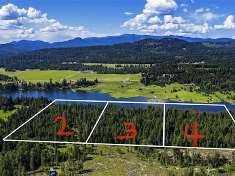 40Acs Wildberry Ln : Sagle : Bonner County : Idaho