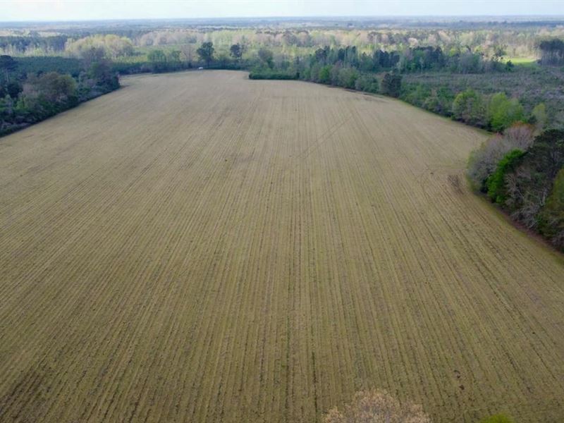Sobley Rd/Davis Rd : Columbus : Lowndes County : Mississippi