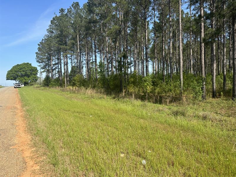 6.5 Ac Geneva Co Land : Hartford : Geneva County : Alabama
