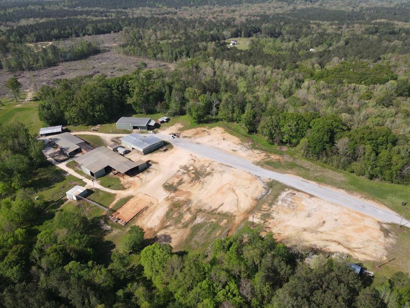 Former Veneer Mill, Camden, AL : Camden : Wilcox County : Alabama