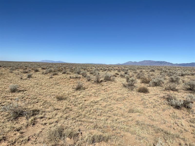 Save Big in Valencia County : Valencia : Valencia County : New Mexico
