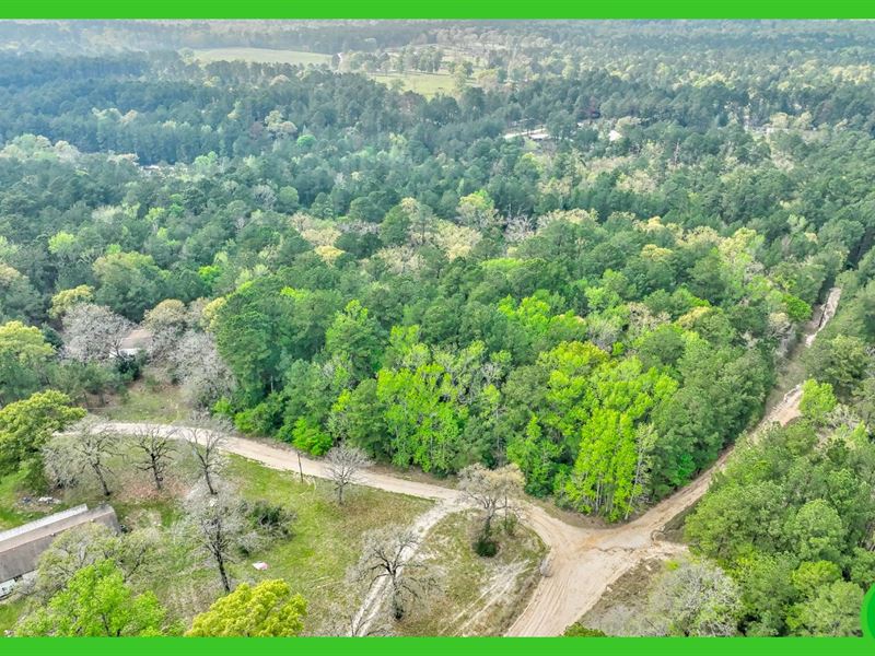 1.91 Acre Lot with no Restrictions : Trinity : Trinity County : Texas