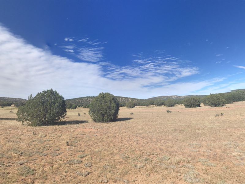 Build Your Legacy in This Land : Seligman : Yavapai County : Arizona
