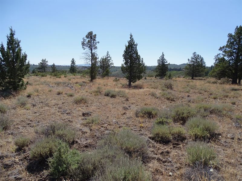 Experience The Beauty of Oregon : Chiloquin : Klamath County : Oregon