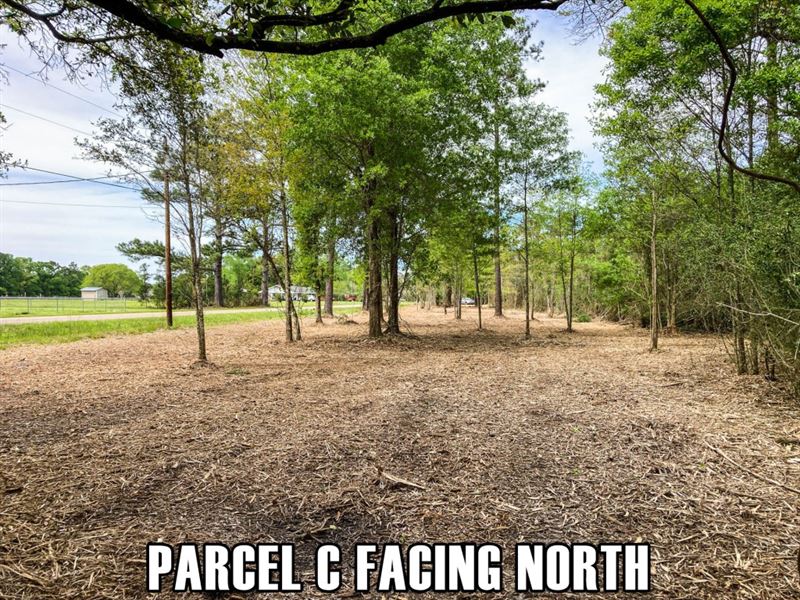Pond, Near Town, 7 Ac Owner Finance : Hammond : Tangipahoa Parish : Louisiana